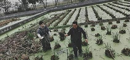 ��ʽ���w�������ϏS�����B���B��βˮ�������A����������Ҧ̽��ˮ�a�Bֳ�Gɫ����֮·