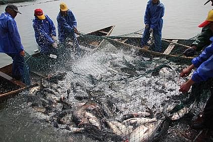 ��ʽ���w�������ϏS�����B���B��βˮ�������A����������Ҧ̽��ˮ�a�Bֳ�Gɫ����֮·