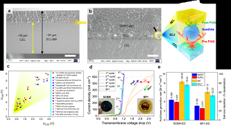 ���F�V�V��2-4mm���a�S���Ї��ƴ����p�OĤҎģ���Ƃ�ȡ�����Mչ