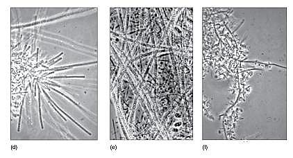 �h���۠����̿�S����ˮ�S����������Û�ļ��g����