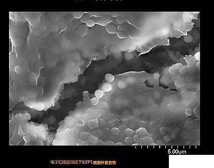 �h���۠����̿�S����ˮ�S����������Û�ļ��g����