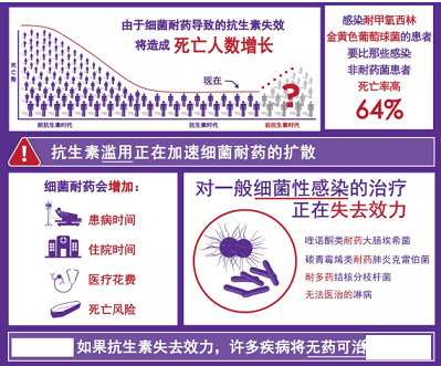 ���w��������Ƭ���a�S���¹����g�^���������ܕ����ٳ��������Ă���