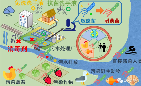 ���w��������Ƭ���a�S���¹����g�^���������ܕ����ٳ��������Ă���