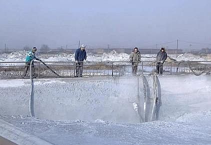 2021��Ҭ������̿���a�S�ҿ�Ͷ�Y1.19�|Ԫ��������˹�д�·�@�^һ���h���Ŀ����