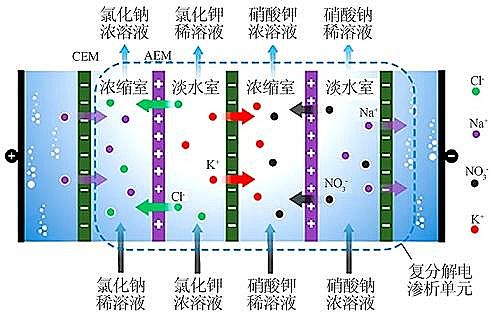 2021����������X��V�ϏS�ҡ��C��������늝B����ˇ�ļ��g�lչ�c����