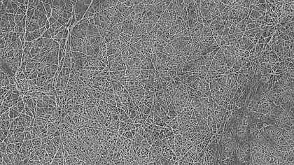 2021���iɰ�V�ϏS�ұ����_�R�{������W(xu��)�о��ˆT�_�l(f��)��(x��)������Ĥ�����Á����xˮ����