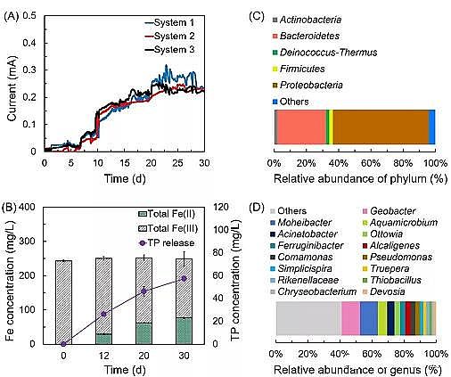 ��ʽˮ̎��ˎ���ͺ�̼Դ���a�S��늴��M����߀ԭ���gጷŲ������F�}�����������׵������о��Mչ