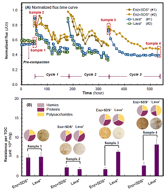 ���xľ�~(y��)ʯ�V�����a(ch��n)�S(ch��ng)��øϴ�ɾ����ɶ������l(f��)�ķ��B͸Ĥ����(f��)��Ⱦ��(w��n)�}