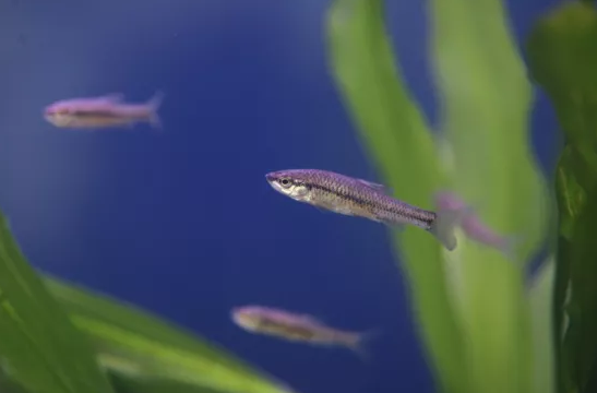 ��ʽ���������V�����a(ch��n)�S����ɽʯ����ˮ�����b��׌���ܺȵ���ˮ���Ă��f׃�ɬF(xi��n)��