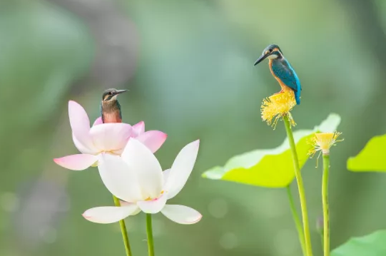 ��ʽ���������V�����a(ch��n)�S����ɽʯ����ˮ�����b��׌���ܺȵ���ˮ���Ă��f׃�ɬF(xi��n)��