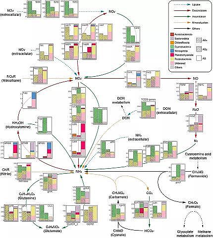 ��Ʒ�|(zh��)��������������MBBR�S��������Ĥ�p��΢����Դ�ܽ����ЙC(j��)�����ŷ�