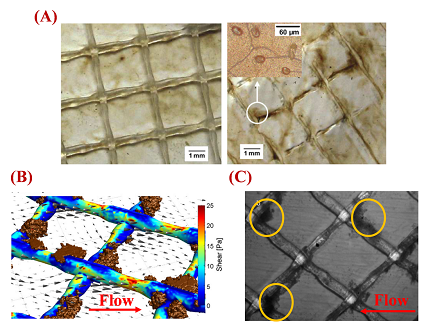 �h(hu��n)���o��ú�V�ϏS��ˮ̎���þ�ʽĤ�M���Mˮ���W(w��ng)�������c���܃�(y��u)��