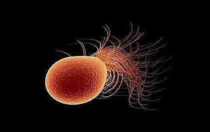 �๦�ܷ��_ϴ�Vñ���a(ch��n)�S��΢�����ڵ��D(zhu��n)���е�����