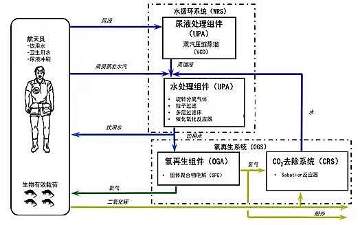 ��Ʒ�|��Cб�����ϏS������12̖�����̫��90�����@Щ�Uˮ̎�����g������̎!