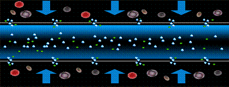 ��Ʒ�|��Cб�����ϏS������12̖�����̫��90�����@Щ�Uˮ̎�����g������̎!
