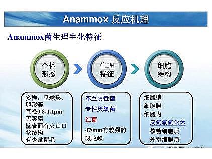 ���|�������͚��������a�S��һ���f͸������������ˇ