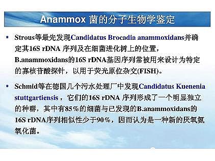 ���|�������͚��������a�S��һ���f͸������������ˇ