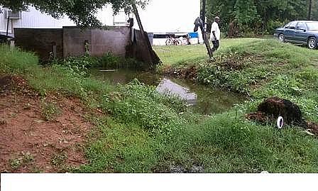 ���x���w�W(w��ng)���������a(ch��n)�S���r(n��ng)����ˮ�^(q��)�򻯹�����̽ӑ