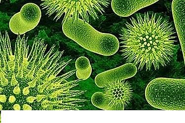 �ϵ���x�Ӿ۱�ϩ����HPAM���a(ch��n)�S��​����ˮ�S�����\�а����Ć��}����̽ӑ��ˮ�S�Č�����n�}�о�