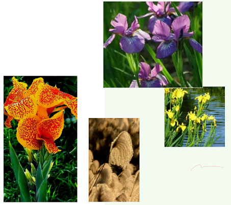 �ϵ���x�Ӿ۱�ϩ����HPAM�S(ch��ng)��​����ֲ�(du��)���I(y��ng)�B(y��ng)��ˮ�w�ޏ�(f��)�о�