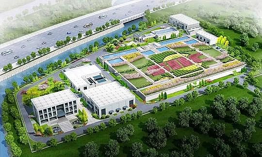 �Ϻ��������̿���a(ch��n)�S�҇���(n��i)ʮ���̼ʾ����ˮ̎��S���γ��t!��Ԕ��(x��)��B!