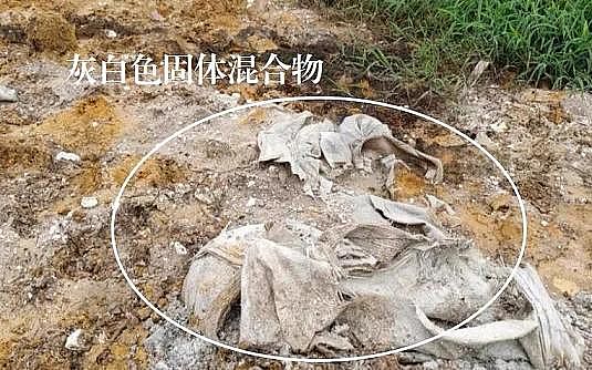 �Ϻ�5A���ӺY���a�S�ҡ��h�����참�������@!ɽ�|һ�a�I�@ÿ��4000�������Uˮֱ��!������ţ��ˮ�����׳���3474��