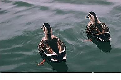 �ϵ�3A���ӺY���a�S���YԴ���գ����F�ɳ��mˮ�c��ˮ̎������Ч;��