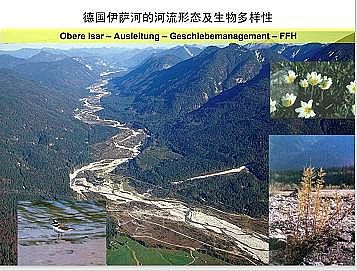 �Ϻ�ʯӢɰ�V�ϏS�ҵ��ӵ��Ľ���Ȼ�ޏ͌��`