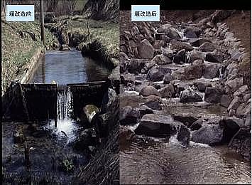 �Ϻ�ʯӢɰ�V�ϏS�ҵ��ӵ��Ľ���Ȼ�ޏ͌��`