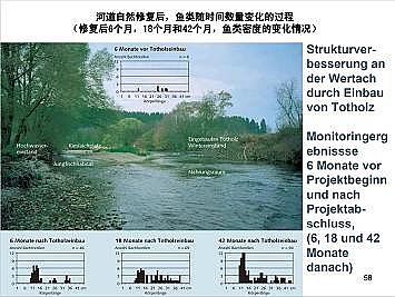 �Ϻ�ʯӢɰ�V�ϏS�ҵ��ӵ��Ľ���Ȼ�ޏ͌��`