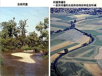 �Ϻ�ʯӢɰ�V�ϏS�ҵ��ӵ��Ľ���Ȼ�ޏ͌��`