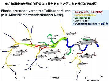 �Ϻ�ʯӢɰ�V�ϏS�ҵ��ӵ��Ľ���Ȼ�ޏ͌��`