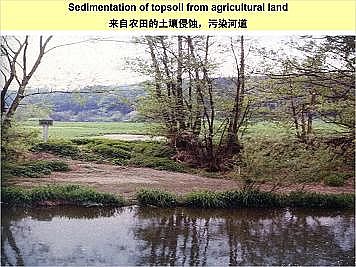 �Ϻ�ʯӢɰ�V�ϏS�ҵ��ӵ��Ľ���Ȼ�ޏ͌��`