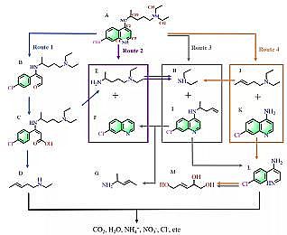 �ϵȞV�Ϻ��d�F���a�S��Fe-MOF΢��Ƭ����D��Чȥ�����d�ЙC��Ⱦ��
