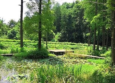 �๦���F̼΢늽����ϏS���˹������ˮ���B̎����ˇ���������Mչ