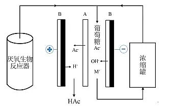 �Ϻ÷��x�Ӿ۱�ϩ����NPAM���a�S���p�OĤ늝B�����g���о��Mչ