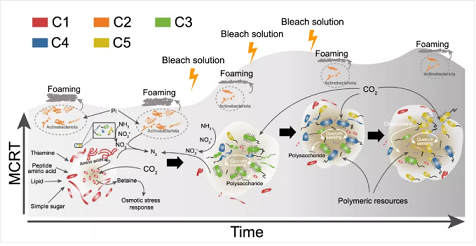 �ϵȉAʽ�Ȼ��X���a�S�������ˮ�S9���ۙ�l�F���f׃�ľ�����׃�ĳ�ˮ