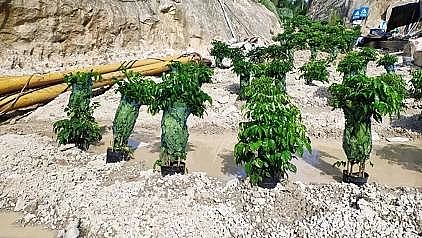 多功能非氧化型殺菌劑生產廠家中央環保督察來了,污水處理廠污泥生化系統差點癱瘓!