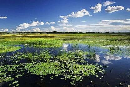 �طN�����ɽ�r�V�����a(ch��n)�S���҇���ر��o(h��)����플��O(sh��)Ӌ�������������_��