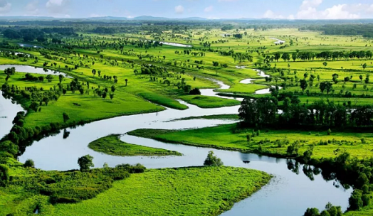 �طN�����ɽ�r�V�����a(ch��n)�S���҇���ر��o(h��)����플��O(sh��)Ӌ�������������_��