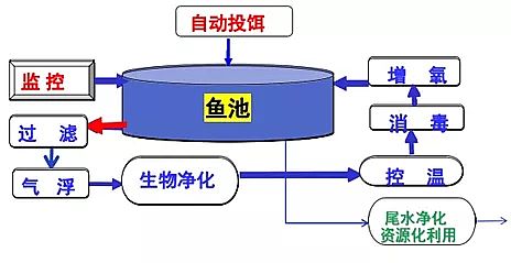 上等冷卻塔填料廠家工廠化循環水養殖裝備技術