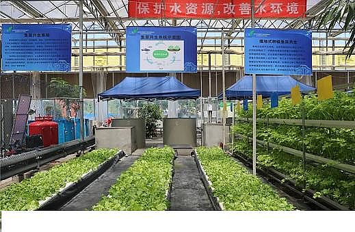 上等冷卻塔填料廠家工廠化循環水養殖裝備技術