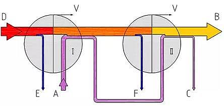 �������������V�ϏS�Ҕ�ʮ�N���}�Uˮ̎���������Ă����ǌ��F�����ŷš����P�I·��?