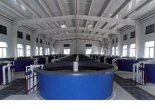 �������ʯ�V�ϏS�ҹ��S��ѭ�h(hu��n)ˮ�B(y��ng)ֳ���g(sh��)��B