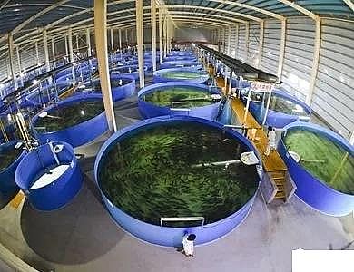 �������ʯ�V�ϏS�ҹ��S��ѭ�h(hu��n)ˮ�B(y��ng)ֳ���g(sh��)��B