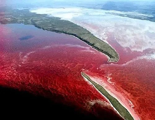 ȫ���Z��ʯ�V�ϏS���Bֳβˮ���팢�д����!�����ŷŘ˜ʌ��С������ơ�