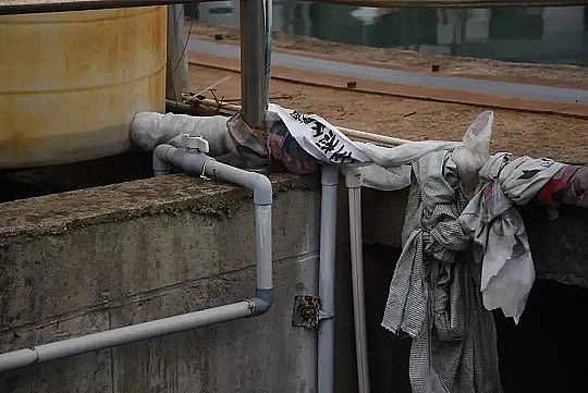 2022��ˮ̎�턩���a(ch��n)�S�����B(t��i)�h(hu��n)����ͨ��(b��o)�㽭��CODȥ����������͸¶��ʲô��̖?