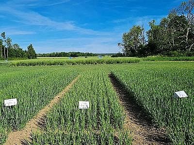 2022�������c̼Դ���a�S�һ��Տ���ˮ�з��x��������Һ����Ȼ���@ô����;!