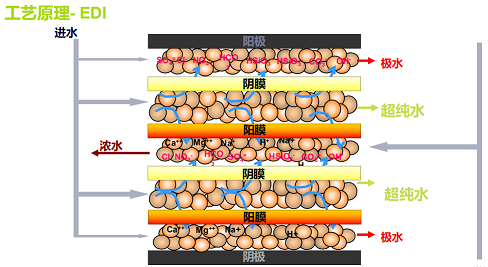 2022�������X���a�S��EDIˮ�|׃��ăɂ�ԭ�򼰸��ƴ�ʩ