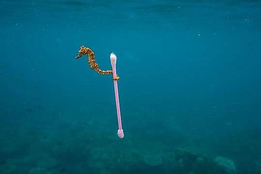 2022��Һ�渲�w��S���@�������������������׌���_����!